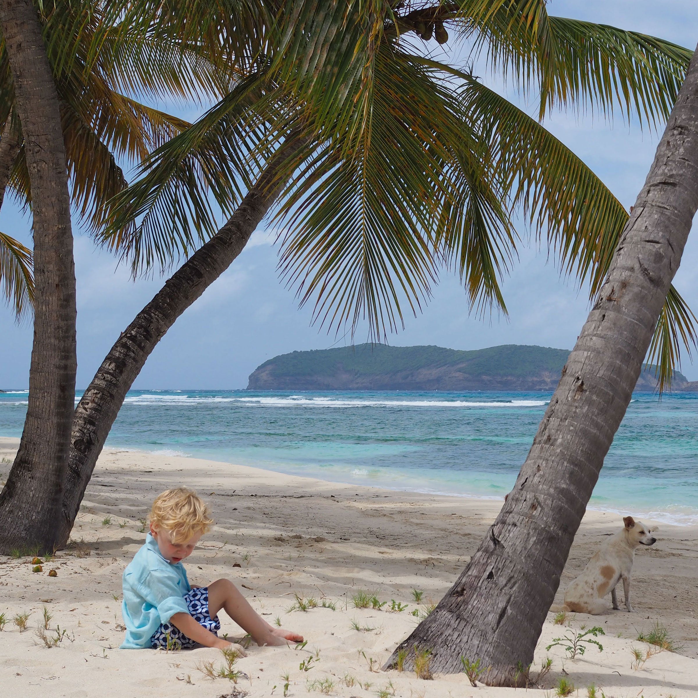 Boys swim trunks : LIFE RING - NAVY Designer Lotty B Mustique kids beach style