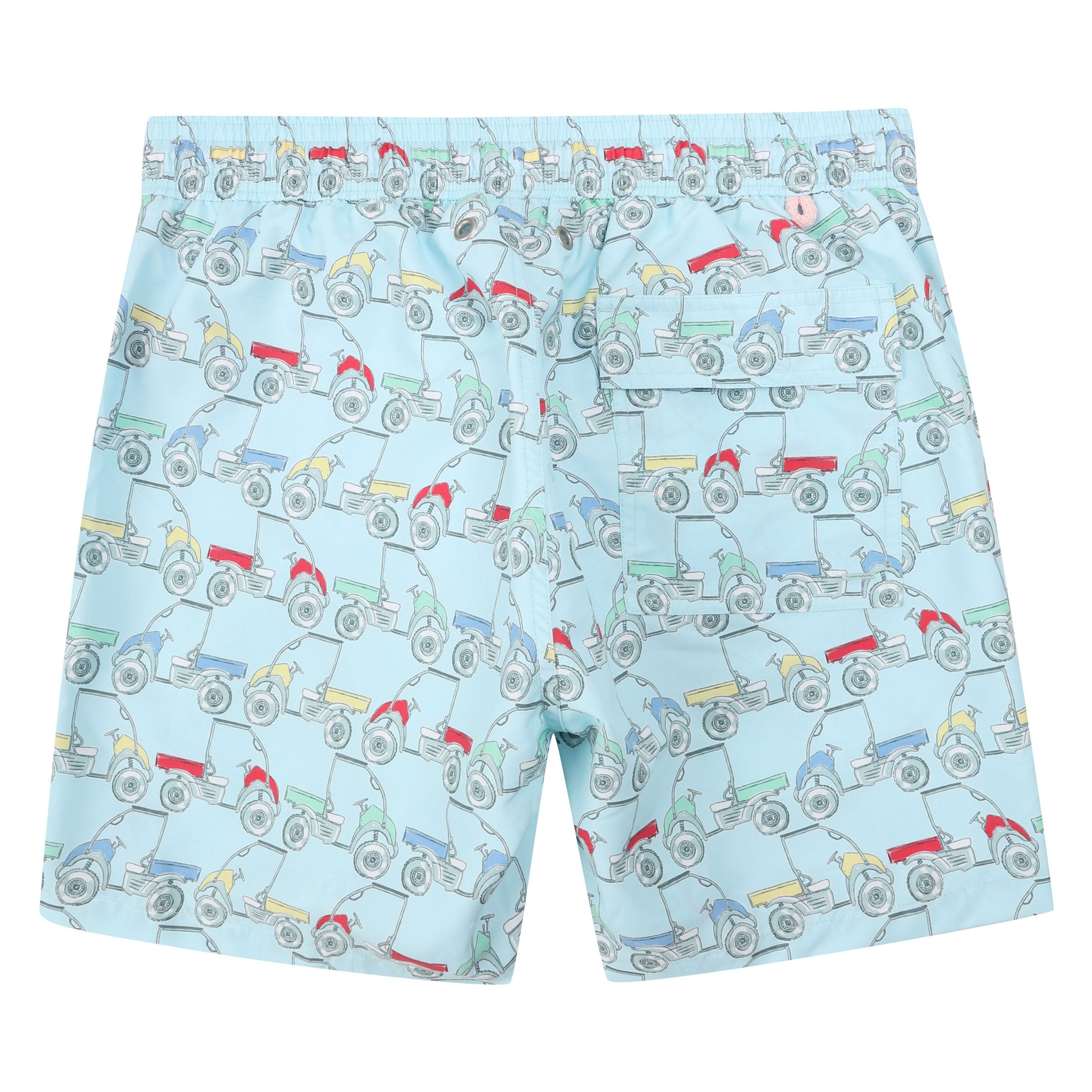 Mens swim trunks : MUSTIQUE MULE - MULTI back