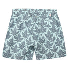 Mens swim trunks : PAPAYA - GREY PALE BLUE back